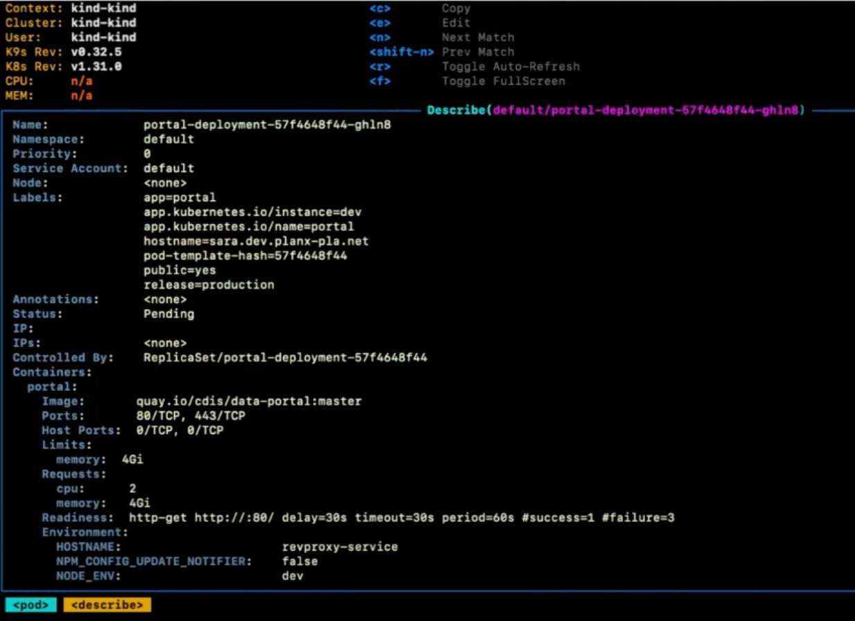 K9s showing portal deployment pod detail