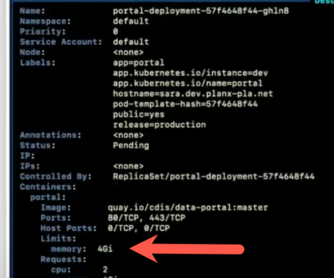 K9s showing portal is requesting 4Gi memory